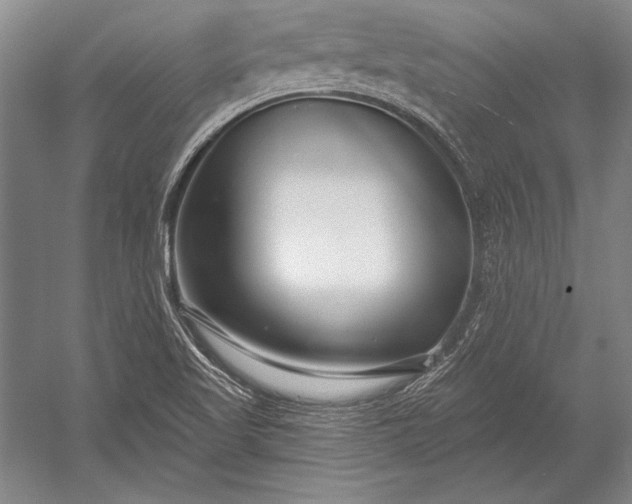 X0000053001509200507221233