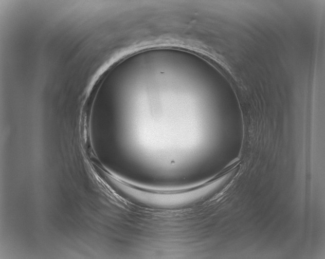 X0000053001510200507221233