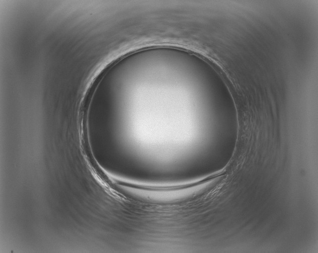 X0000053001511200507221233