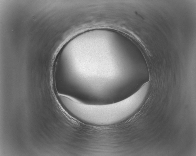 X0000053001512200507221233