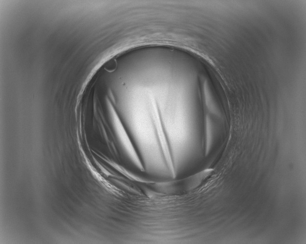 X0000053001515200507221233