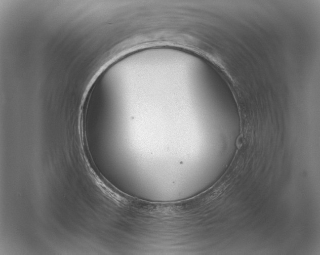 X0000053001516200507221233