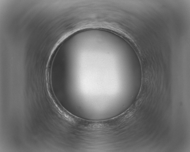 X0000053001517200507221233