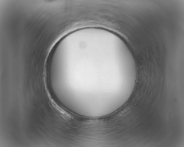 X0000053001518200507221233