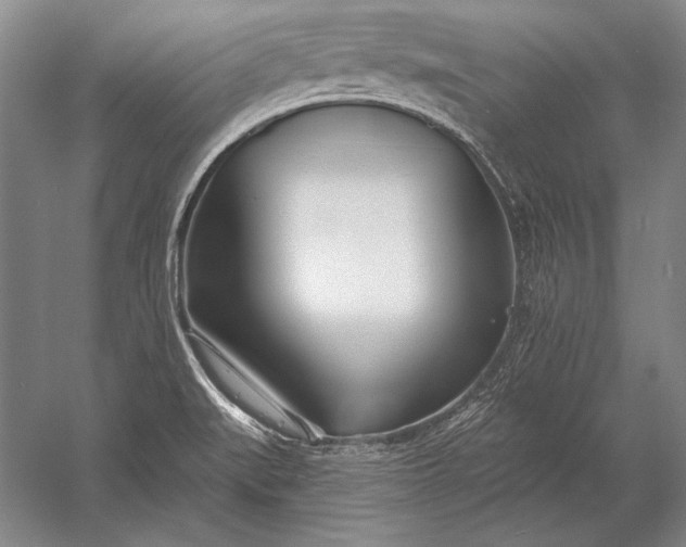 X0000053001519200507221233