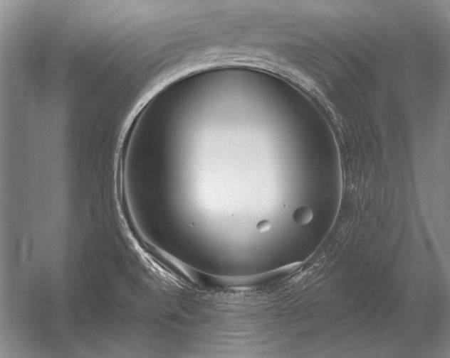 X0000053001520200507221233