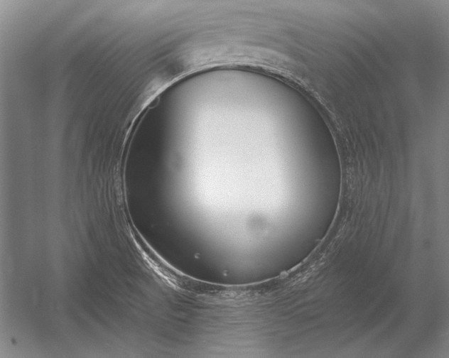 X0000053001521200507221233