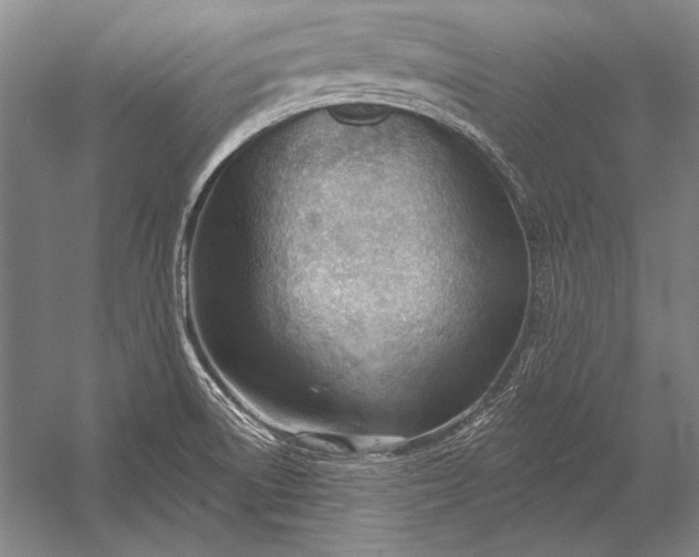 X0000053001522200507221233