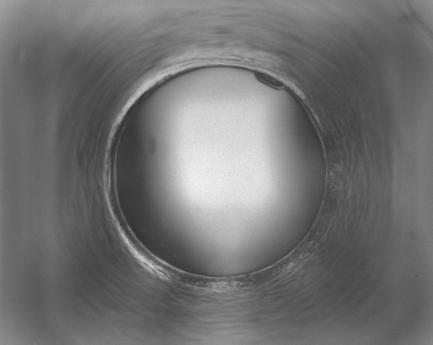 X0000053001523200507221233