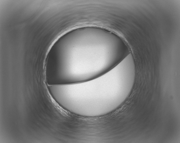 X0000053001524200507221233