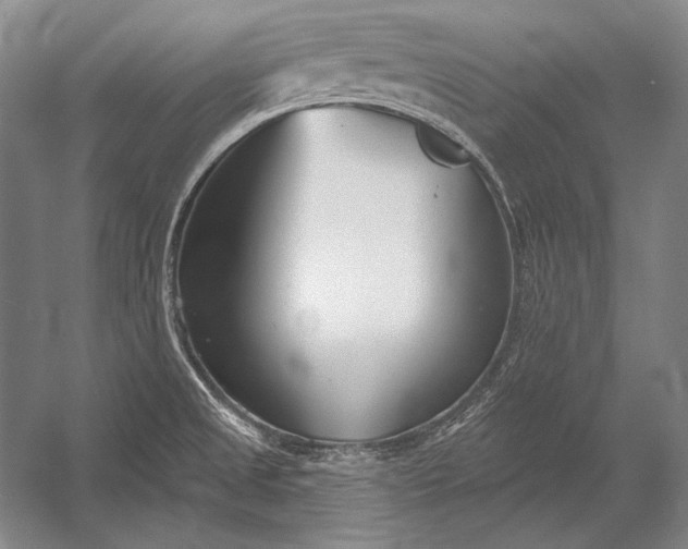 X0000053001525200507221233