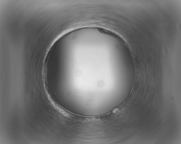 X0000053001526200507221234