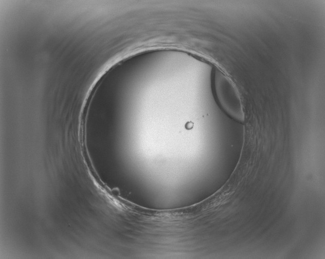 X0000053001527200507221234