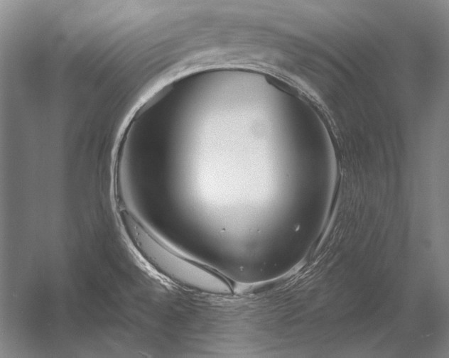 X0000053001528200507221234