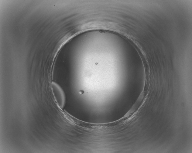 X0000053001529200507221234