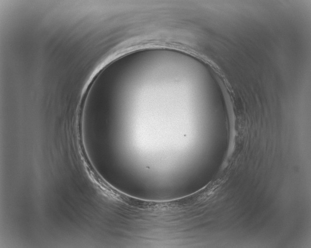 X0000053001530200507221234