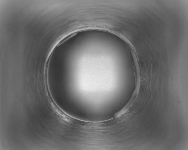 X0000053001532200507221234