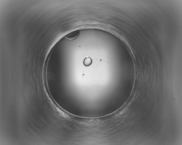 X0000053001533200507221234