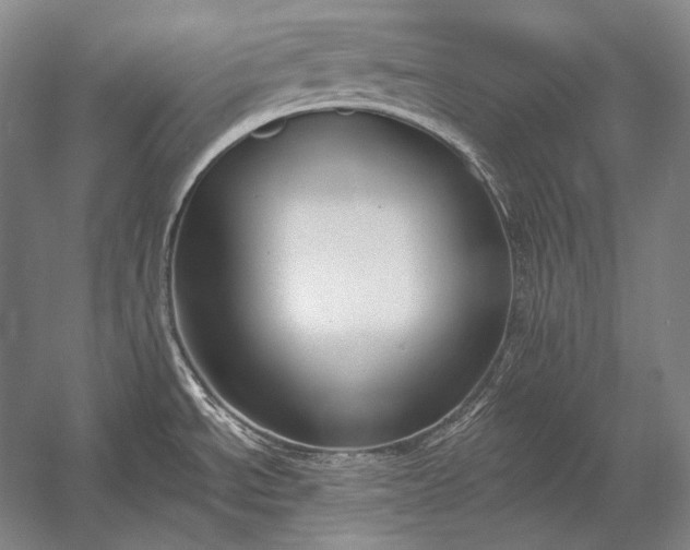 X0000053001534200507221234