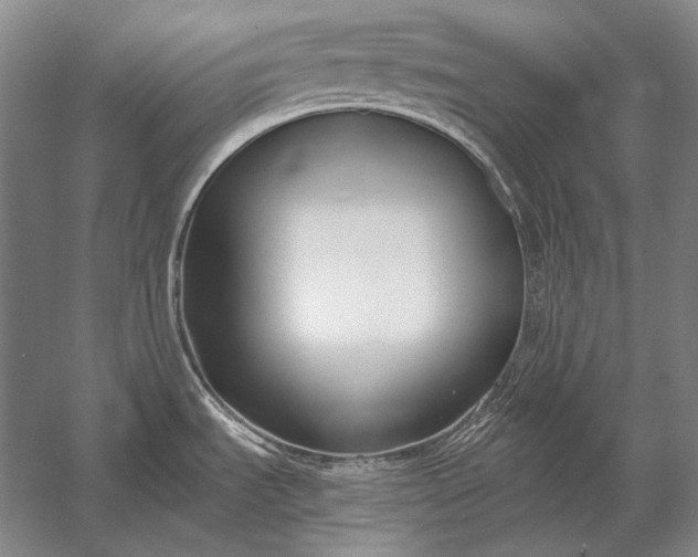 X0000053001535200507221234