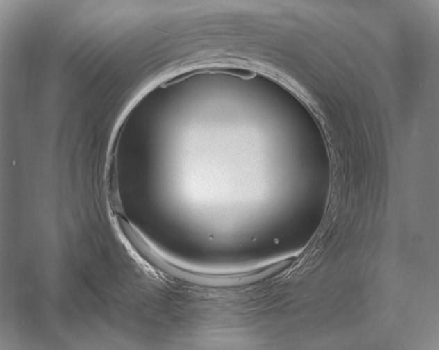 X0000053001536200507221234