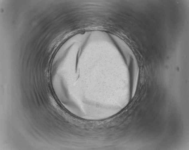 X0000053000002200507291654