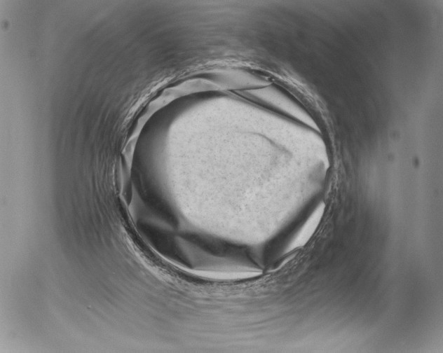 X0000053000009200507291654