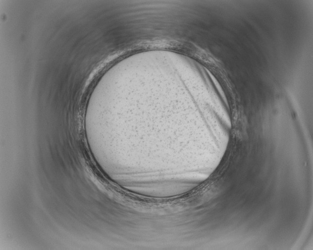X0000053000012200507291654