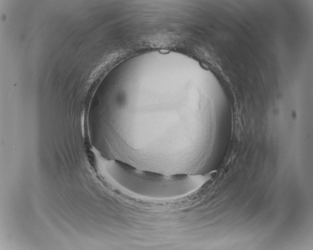 X0000053000019200507291654