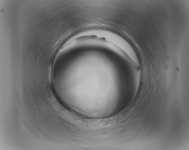X0000053000023200507291654