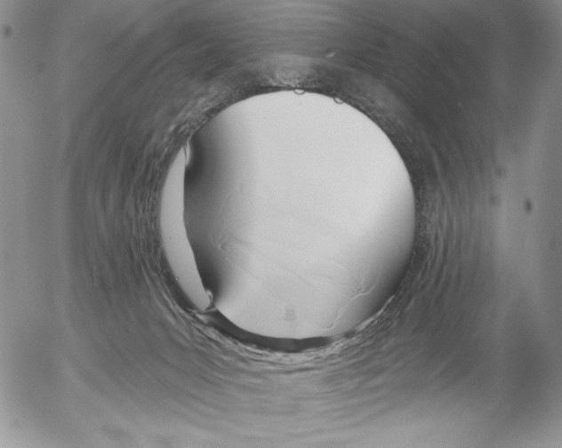 X0000053000031200507291654