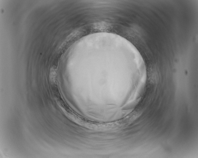 X0000053000036200507291653