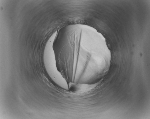 X0000053000039200507291653