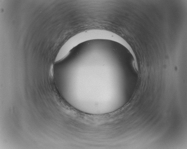 X0000053000041200507291653