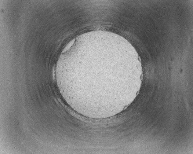X0000053000042200507291653