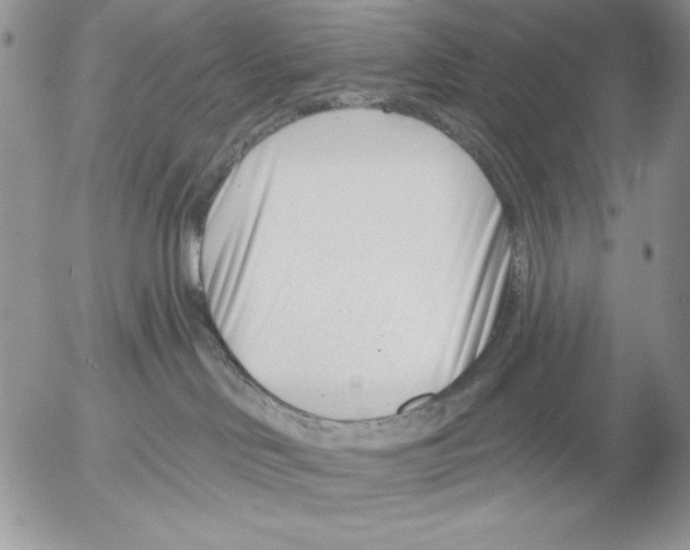 X0000053000046200507291653