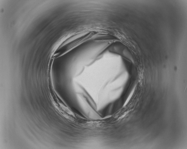 X0000053000052200507291652