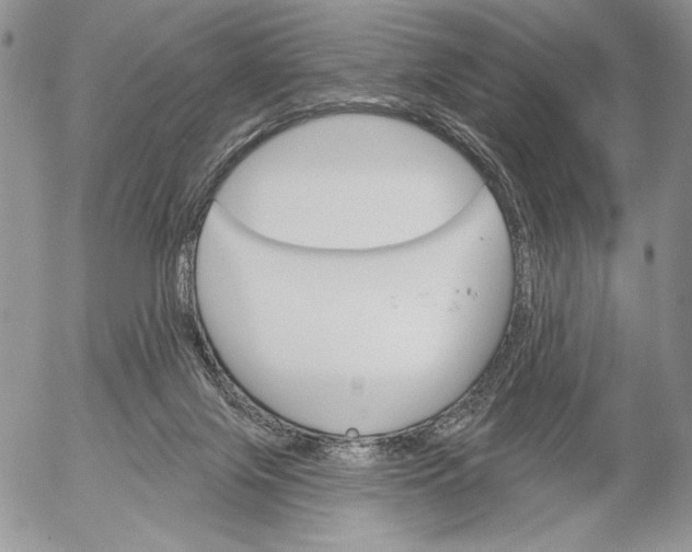 X0000053000071200507291653
