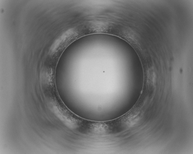 X0000053000073200507291653