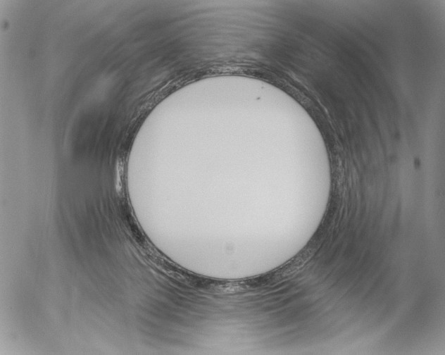 X0000053000075200507291653