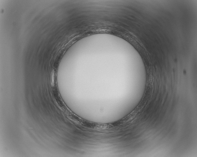 X0000053000076200507291653