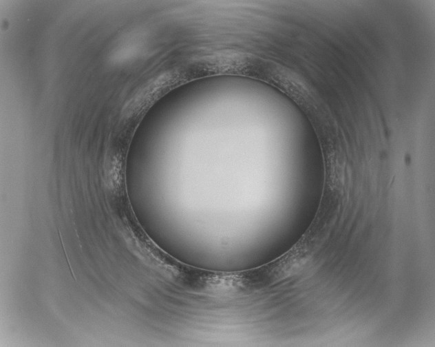 X0000053000077200507291653
