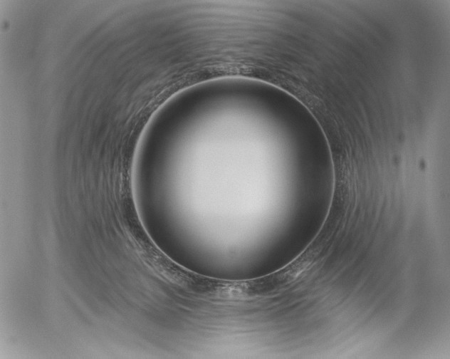 X0000053000080200507291653