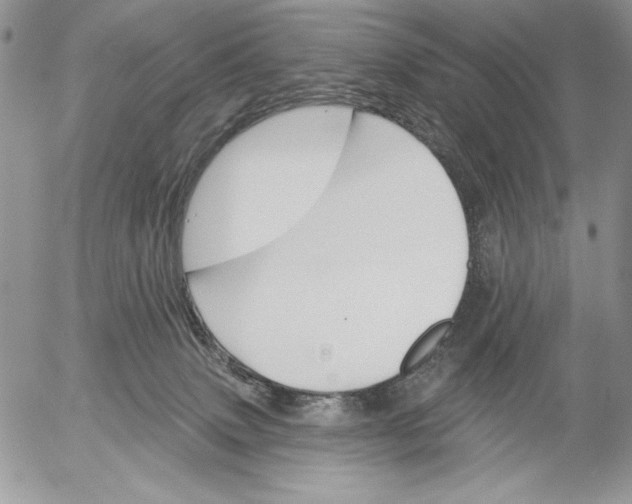 X0000053000083200507291653