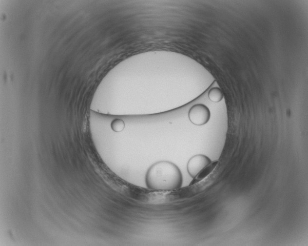 X0000053000090200507291653