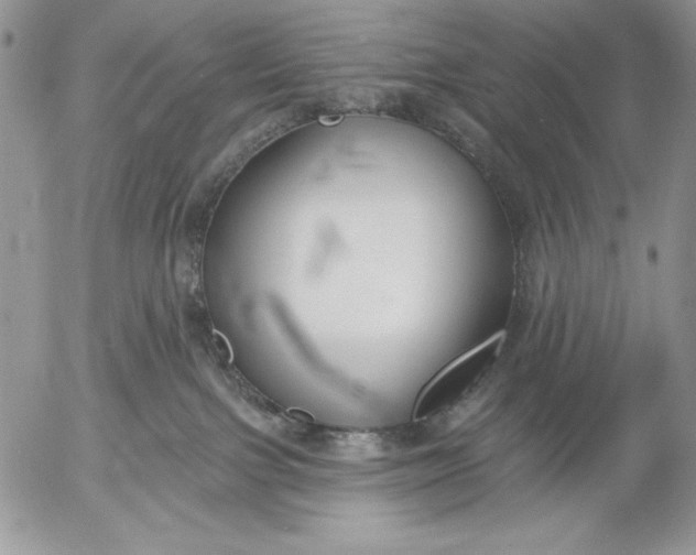 X0000053000091200507291653