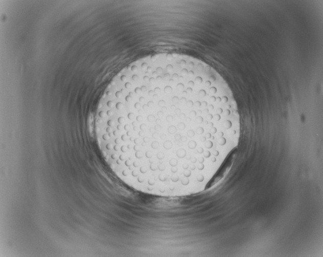 X0000053000094200507291653