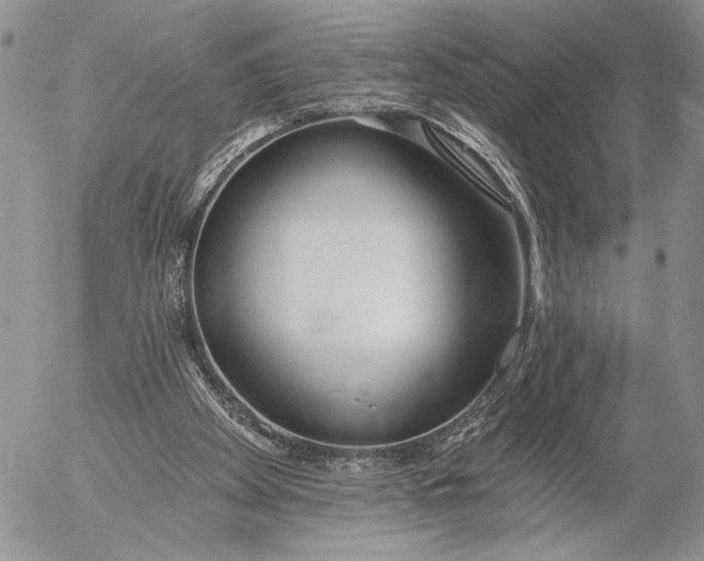 X0000053000105200507291652