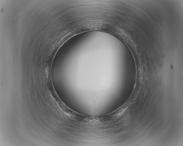 X0000053000113200507291652