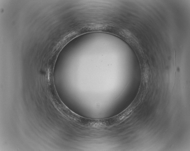 X0000053000115200507291652